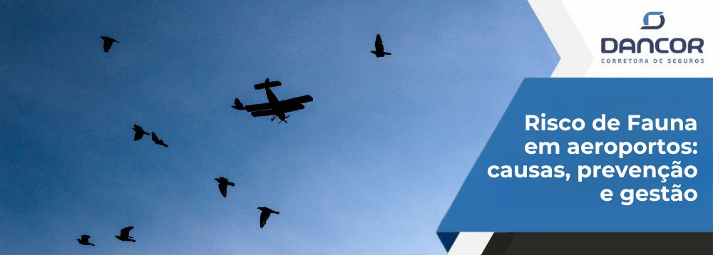 Risco de Fauna nos Aeroportos